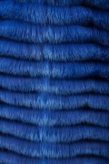 (SOLD) Long Blue Fox Vest