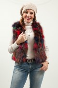 Gilet de Renard Multicolore