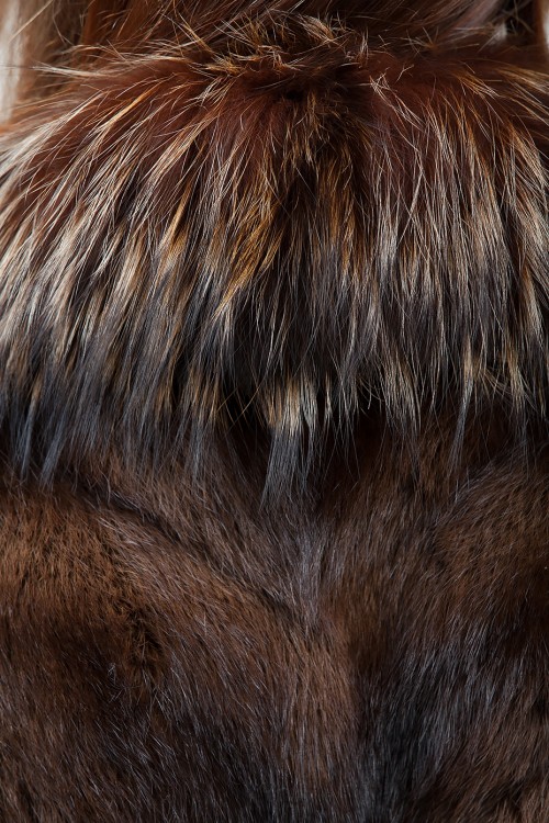 Gilet de Vison Sauvage et Renard Argent&eacute;