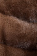 Brown Mink Jacket with Hood