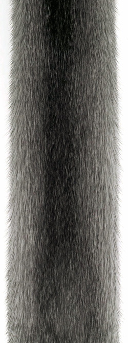 How To Eliminate Bad Odours From Your Fur How To Eliminate Bad Odours From Your Fur, How Do I Clean A Real Fur Coat That Smells Badly